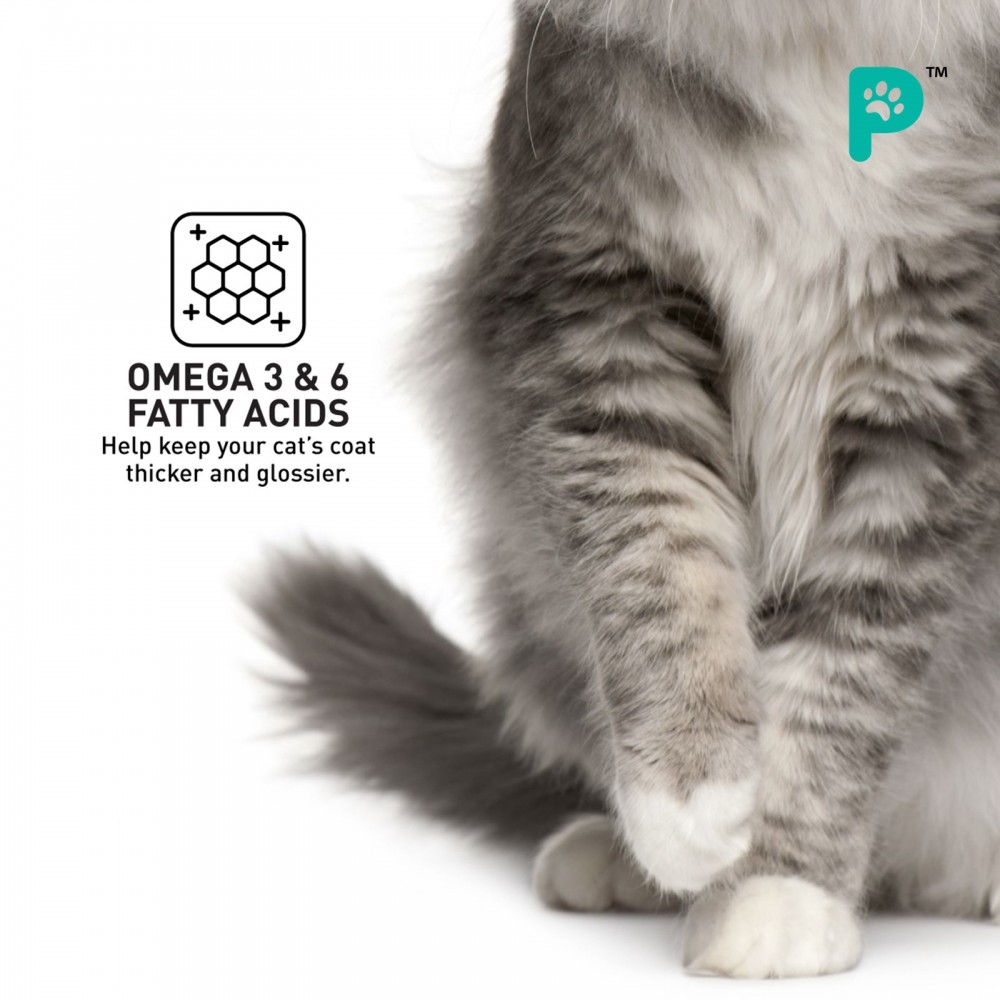 ProDiet Wet Cat Food Ocean Fish 85G 5+1 (Promo Pack)